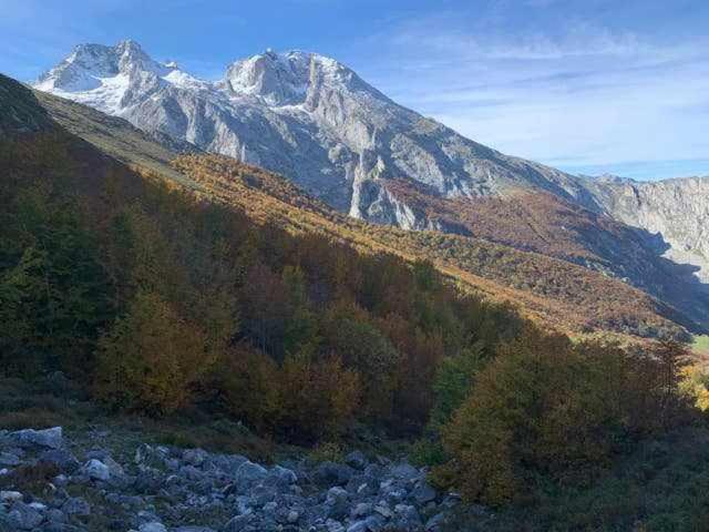 Cumbres De Los Picos Apartamento La Yedra Poo  外观 照片